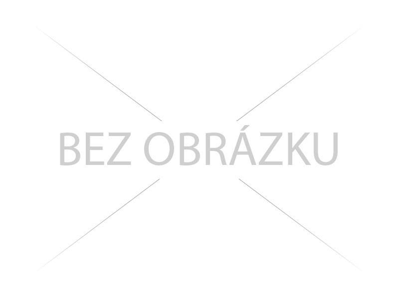 HLEDÁME INSTRUKTORY LYŽOVÁNÍ A SNOWBOARDINGU!
